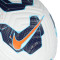 Lopta Nike Academy