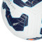 Lopta Nike Academy