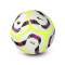 Lopta Nike Premier League 2024-2025 Academy