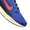 Tenisice Nike Air Zoom Pegasus 41