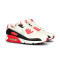 Tenisice Nike Ženske Air Max 90