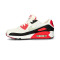 Tenisice Nike Ženske Air Max 90