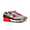 Tenisice Nike Air Max 90