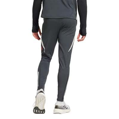 Duge hlače Manchester United 2024-2025 Trening