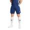 Kratke hlače adidas Tiro 24 Team
