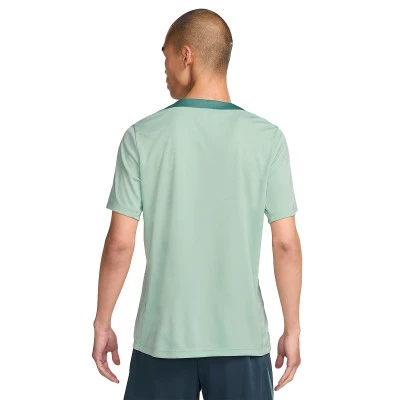 Majica Tottenham 2024-2025 Trening