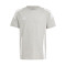 Dres adidas Tiro 24 Cotton Mujer