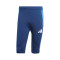 Kapri hlače adidas Tiro 24 Competition Pirata