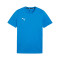 Dres Puma teamGOAL Cotton