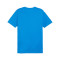 Dres Puma teamGOAL Cotton