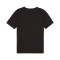 Dres Puma teamRISE Matchday m/c