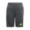 Kratke hlače adidas Tiro 24 Competition Niño