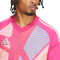 Dres adidas Tiro 24 Competition GK m/l