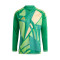 Dres adidas Tiro 24 Competition GK m/l