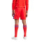 Kratke hlače adidas Tiro 24