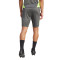 Kratke hlače adidas Tiro 24 Competition