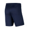 Kratke hlače Nike Park III Knit Gimnástica de Torrelavega Niño