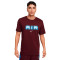 Dres Nike Swoosh Air Graphic