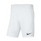 Kratke hlače Nike Park III Knit Niño CF. Base Sagunto