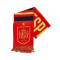 Šal Federación Española RFEF