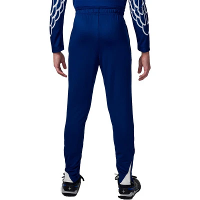 Duge hlače Djeca PSG Trening 2024-2025