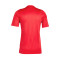 Dres adidas Tiro 24 m/c 24/25 Real Murcia CF SAD