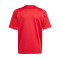 Dres adidas Tiro 24 m/c Niño 24/25 Real Murcia CF SAD