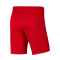 Kratke hlače Nike Park III Knit Gimnástica de Torrelavega Niño
