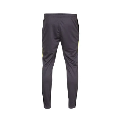 Duge hlače Individualliga Training Pants