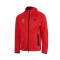 Jakna Nike RCD Mallorca Sportswear Tech Fleece Windrunner Hoodie