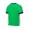 Dres Nike Akademija 25