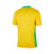 Dres Nike Brazil Copa América za žene 2025. Početna stranica