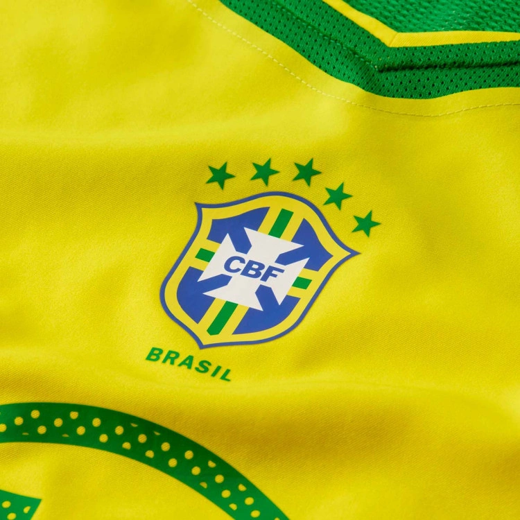 camiseta-nike-brasil-ronaldinho-edicion-especial-reissue-opti-yellow-apple-green-apple-green-5