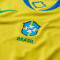 Dres Nike Brazil Copa América za žene 2025. Početna stranica