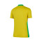 Dres Nike Brazil Copa América za žene 2025. Početna stranica