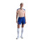 Majica Nike Francuska Euro 2025 za žene Trening
