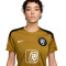 Majica Nike Nizozemska Euro 2025 za žene Trening