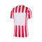Dres Nike Atlético de Madrid Authentic 2025-2026 Home