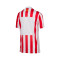 Dres Nike Djeca Atlético de Madrid 2025-2026 Početna