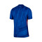 Dres Nike Chelsea FC Authentic 2025-2026 Home