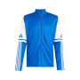 Squadra 25-Team Royal Blue-White