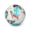 Lopta Puma Kutija Puma Orbita Laliga 1 2025-2026 (Fifa Quality Pro).