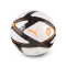 Lopta Puma Valencia Cf 2025-2026