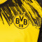 Dres Puma Bvb Borussia 2025-2026 Početna