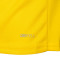 Dres Puma Djeca BVB Borussia 2025-2026 Početna