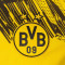 Dres Puma Djeca BVB Borussia 2025-2026 Početna