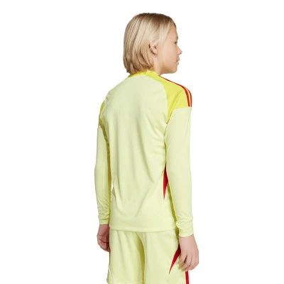 Dres Djeca Arsenal FC 2025-2026 Goalkeepers Home