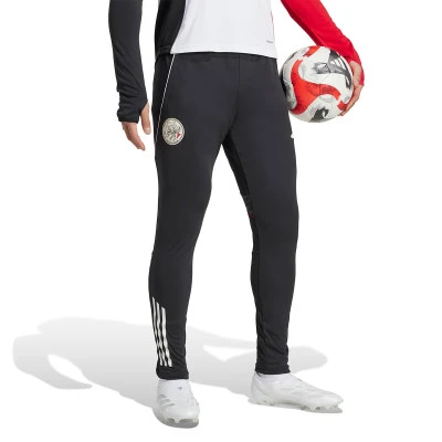 Duge hlače Ajaxov Trening 2025-2026