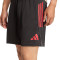 Kratke hlače adidas FC Bayern 2025-2026 Trening