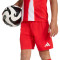 Komplet adidas Djeca FC Bayerna 2025-2026